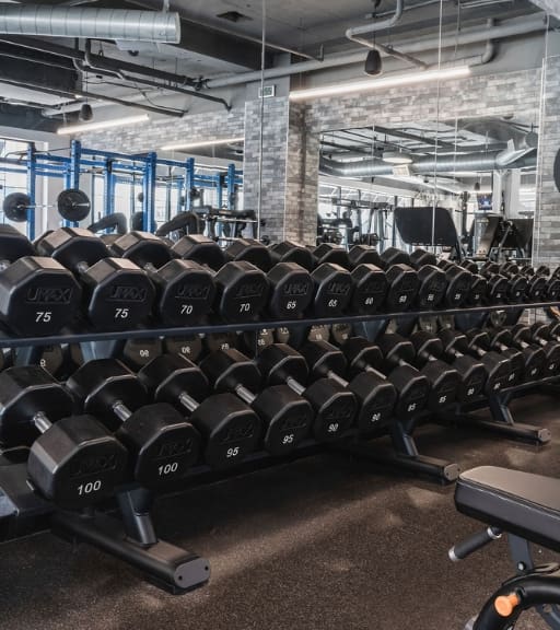 a spacious weights area with free weights at trophy fitness gym near me